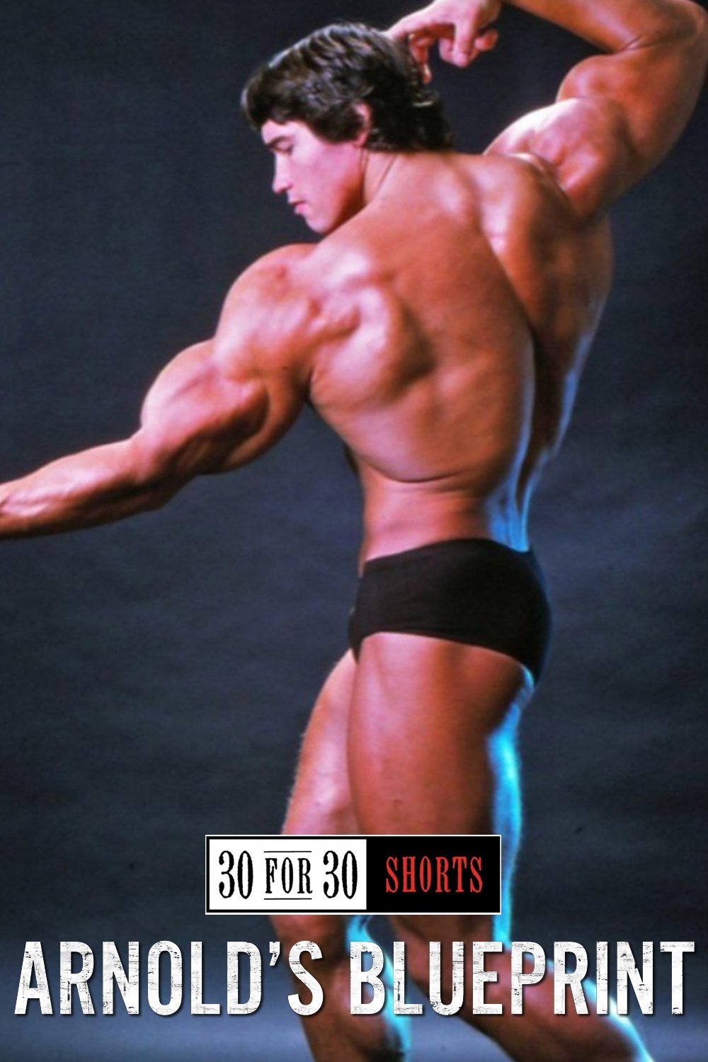 Постер Arnold's Blueprint
